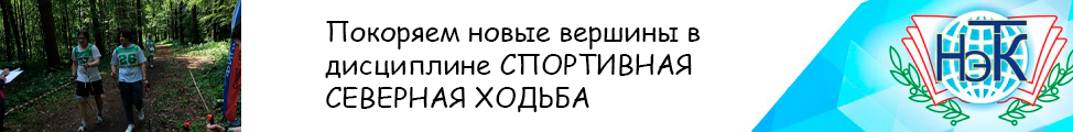 InfSystem.png